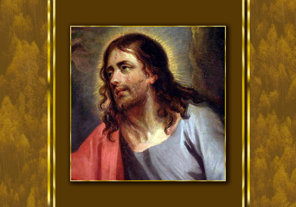 jesusenlafaldadelmonte imdes